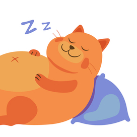 толстый кот