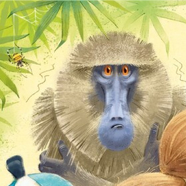 Кокосы и замерзший павиан или странный сюжет