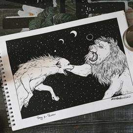 День 9 - бросок/ набрасываться