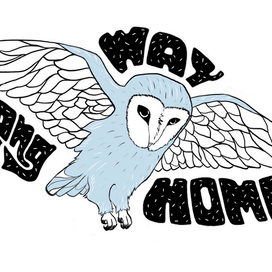 Долгий путь домой 