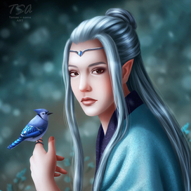 Китайский эльф