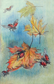 Момент осени