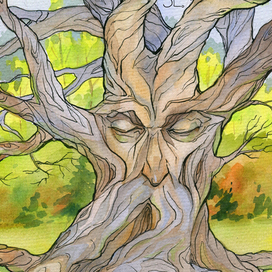 Дуба портрет)