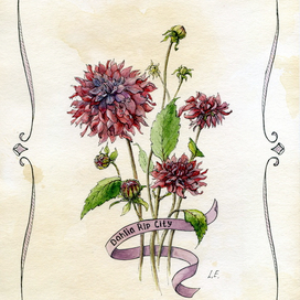 "Dahlia Rip City"