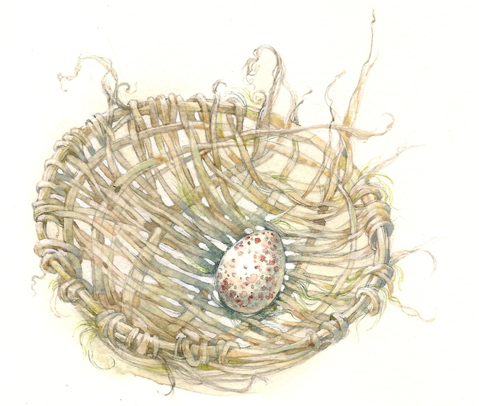 Ивовая корзинка