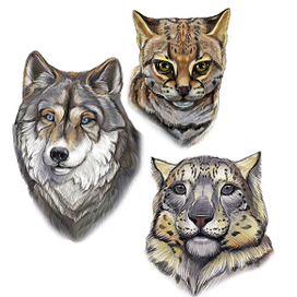 для раскраски