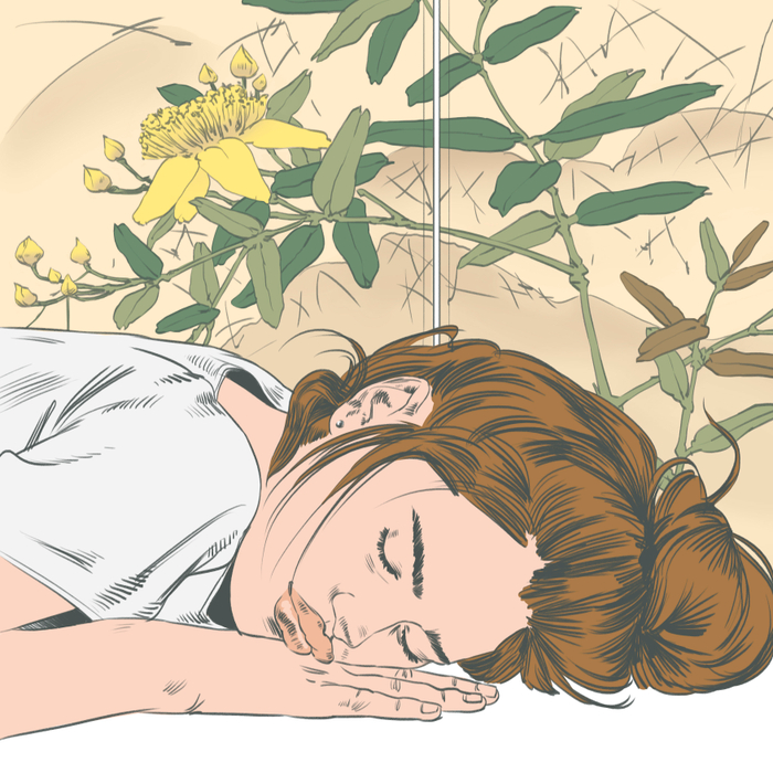 Полуденный сон 