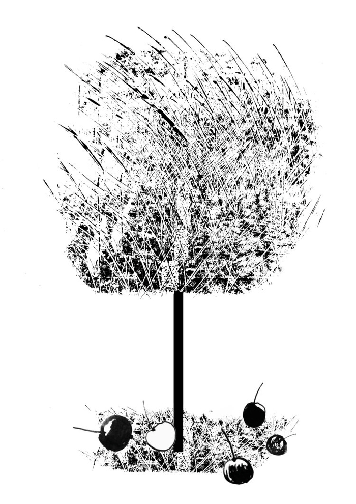  Климанова А. Стихи (сборник), 2009 Не издано.