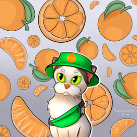 Кот и апельсины