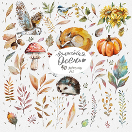 Осень в лесу. 40 элементов на прозрачном фоне
