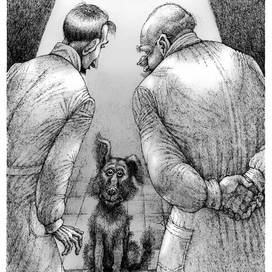 Булгаков. Собачье сердце.