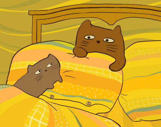 коты на подушках