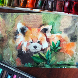 Красная панда