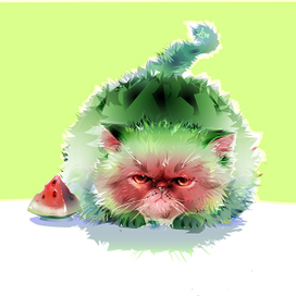 арбузный кот