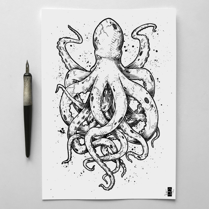 octopus