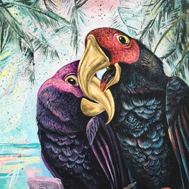 Селфи попугаев