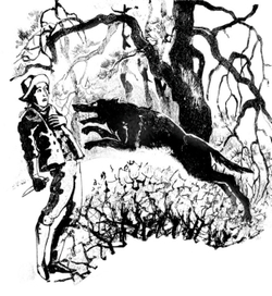 новелла Э.Т. А. Гофмана "Майорат" иллюстрация. нападение волка.