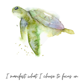 черепаха акварелью