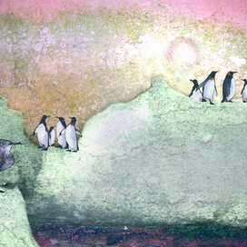 Антарктика  