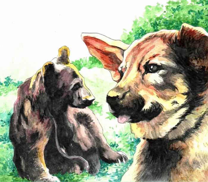 Бродяги севера