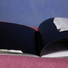 Книга. Сборник стихов. Автор Сольский А.Д._12