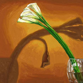 Одиночество красоты