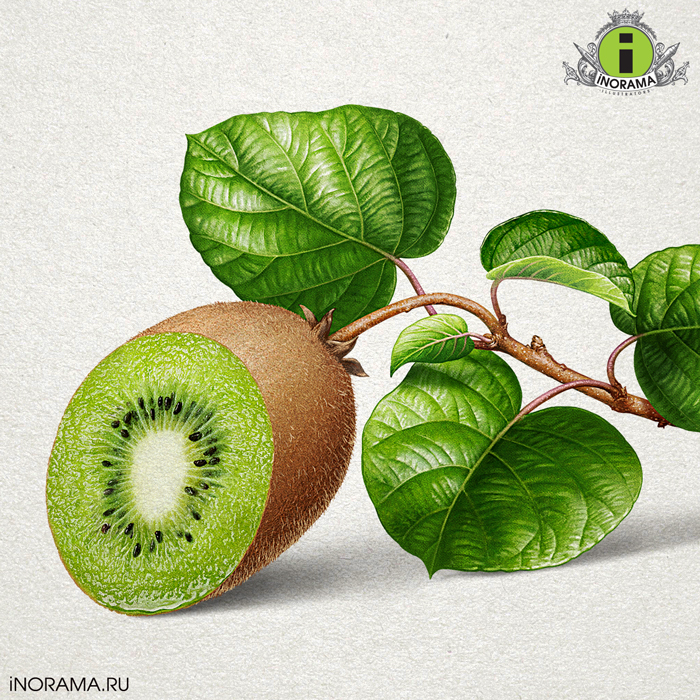 Киви.