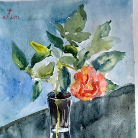 Роза в стеклянной вазе