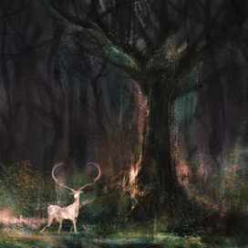 Волшебный лес