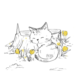 котик спит в весеннем лесу