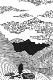 Ель в горах