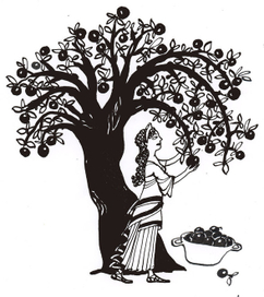 невеста Цезаря