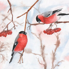 Медвежонок проснулся зимой