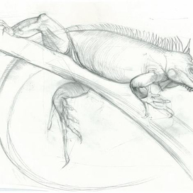 зарисовка с натуры