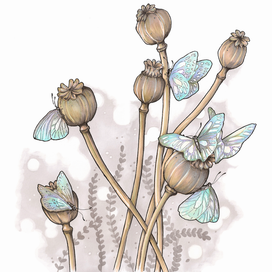 маки и бабочки