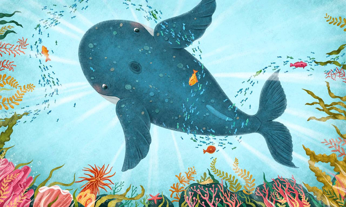 Ценитель прекрасного 🐳🌊