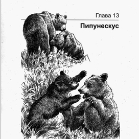 ГРИЗЛИ. Пипунескус