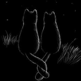 Влюбленные коты