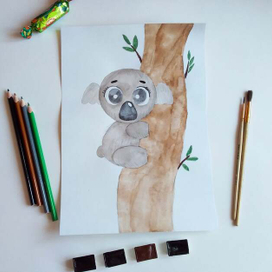 Коала