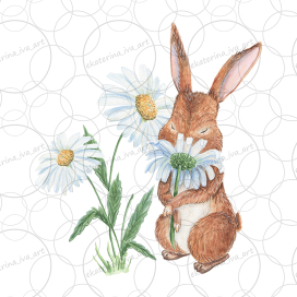 Зайчик и ромашки
