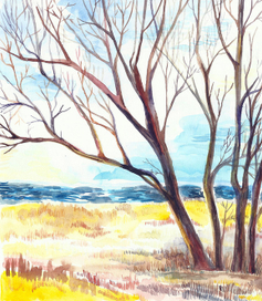 Финский залив