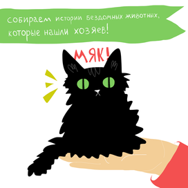 Котик из проекта, который, к сожалению, сорвался