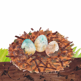 Жуки и гнездо