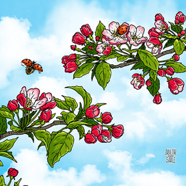 Яблоня в цвету