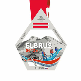 Векторная иллюстрация медали