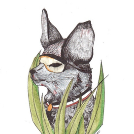 Лис пустыни или Эрвин Роммель