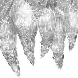 Эдгар По "Колодец и маятник"