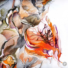 "Физалис" (фрагмент)