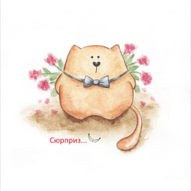 Сюрприз