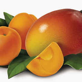 манго-абрикос для &quot;фругурта&quot;